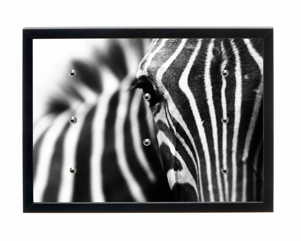 Universalboard "Fine Art Black S40" Motiv 167 Zebra / Magnettafel, Schlüsselboard, Wandbild  40x30cm Rahmen schwarz